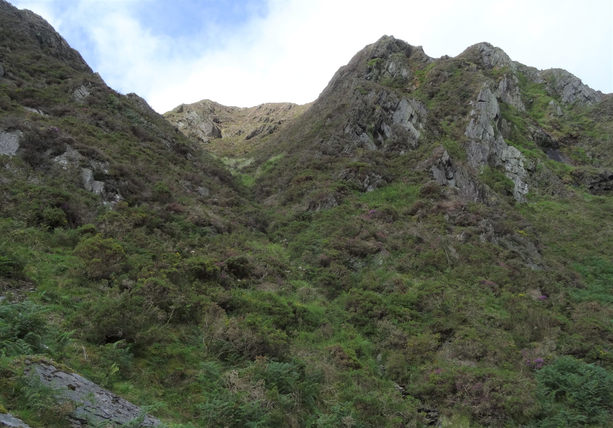 RachelSeabrook.net | Wild Walking | Craig y Pistyll | pic17